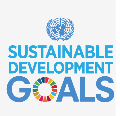 E SDG Icons 18